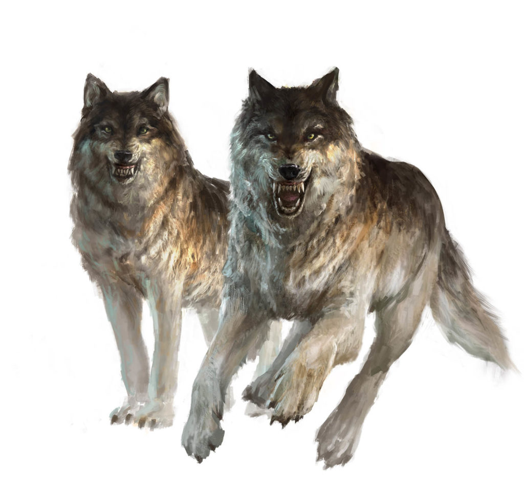 Gladiatoris - Wolves 2D